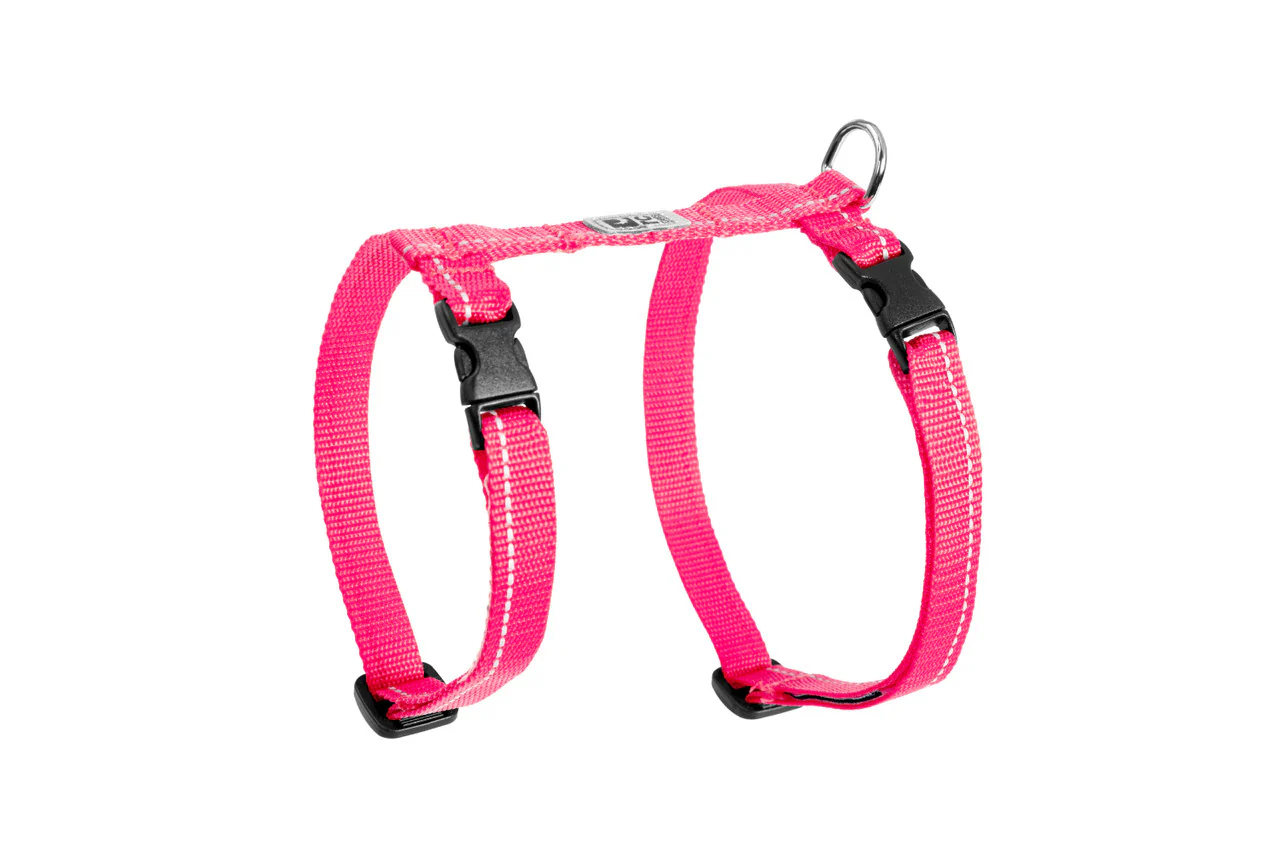 Rc Pets Harnais pour chat