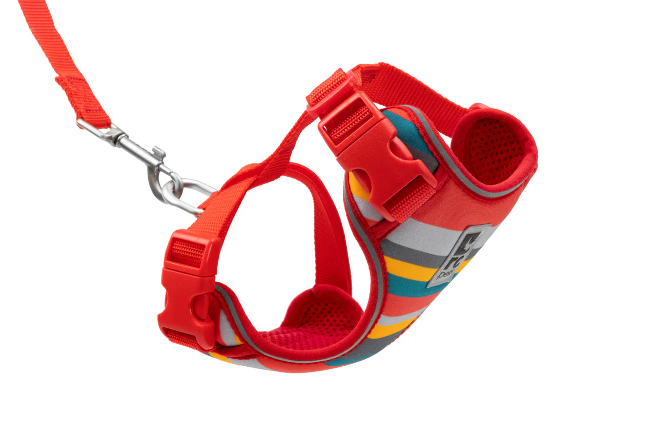 Rc Pets Harnais Adventure Pour Chat – Image 9