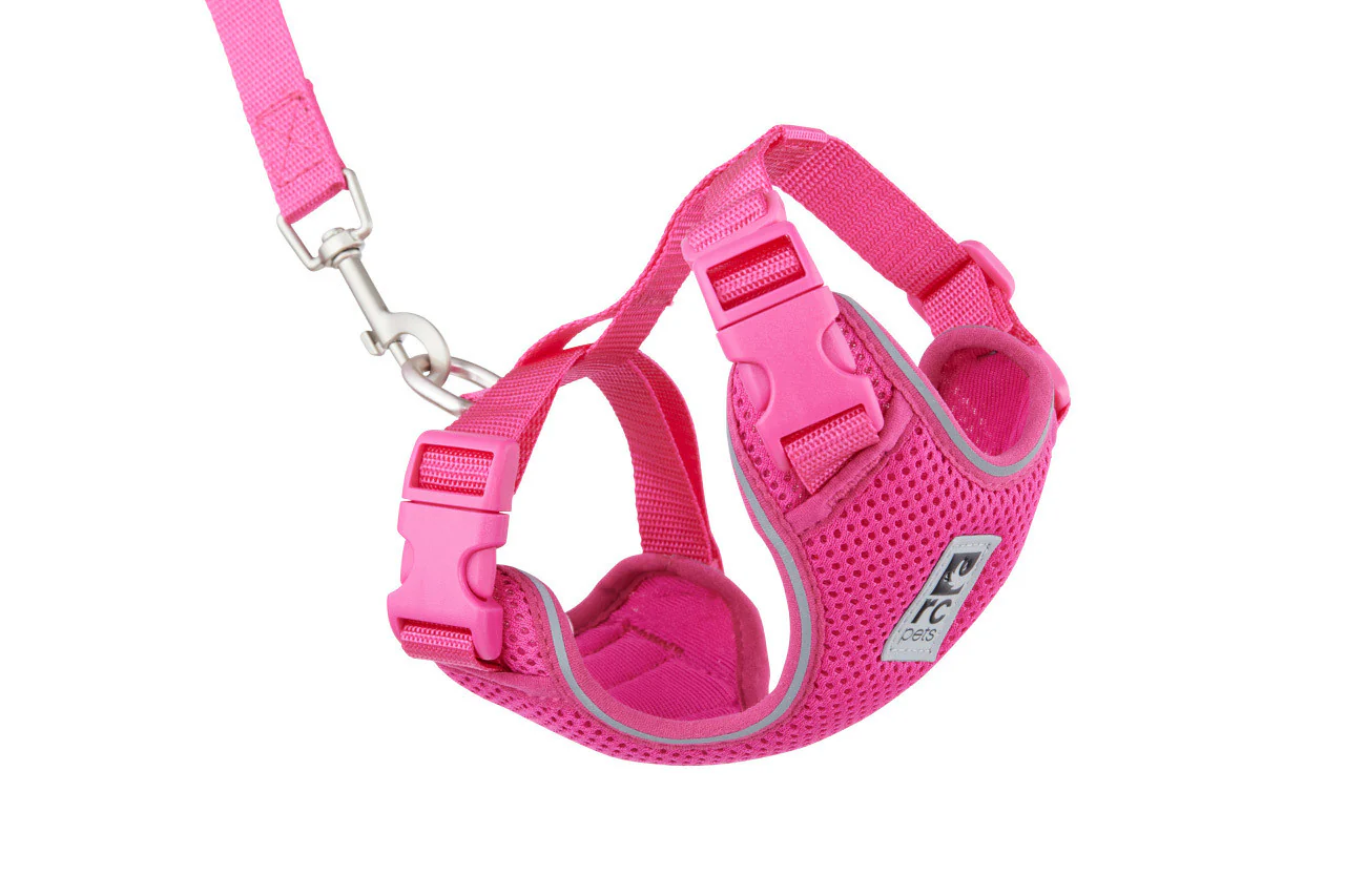 Rc Pets Harnais Adventure Pour Chat – Image 3